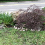 Tree 1